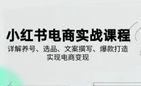 小红书从0-1实操课(2023-2025)，详解养号、选品、文案撰写、爆款打造实现电商变现|轻创终点站