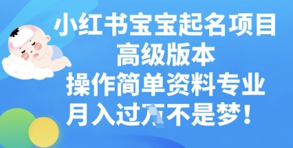 小红书宝宝起名项目高级版本，操作简单，资料专业，月入过W|轻创终点站