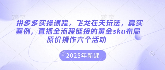 拼多多实操课程，飞龙在天玩法，真实案例，直播全流程链接的黄金sku布局原价操作六个活动|轻创终点站