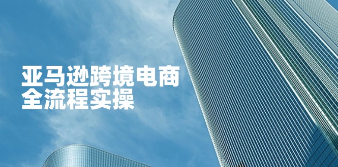 （14252期）亚马逊跨境电商全流程实操，教你从零开始，掌握店铺运营与广告技巧|轻创终点站
