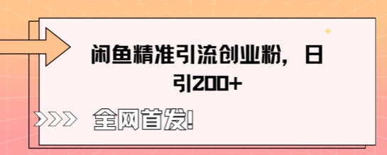 闲鱼精准引流创业粉，轻松日引200+|轻创终点站