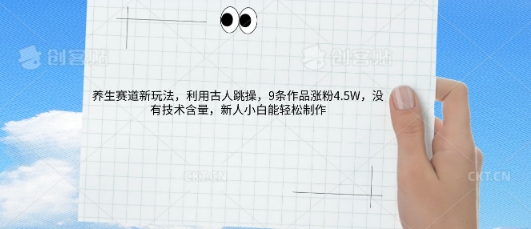 AI养生赛道新玩法，10条作品涨粉5.2W，操作简单，新人小白能轻松制作|轻创终点站