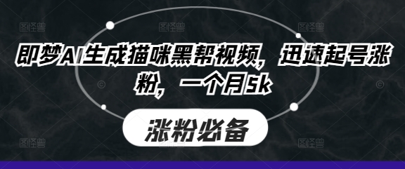 即梦AI生成猫咪黑帮视频，迅速起号涨粉，一个月5k|轻创终点站