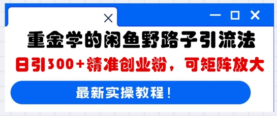 重金学的闲鱼野路子引流法，日引300+精准创业粉，可矩阵放大|轻创终点站