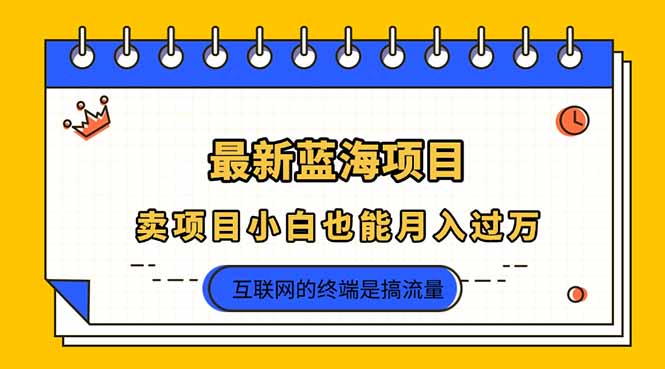 （14289期）2025年最新蓝海项目，卖项目小白也能月入过万|轻创终点站