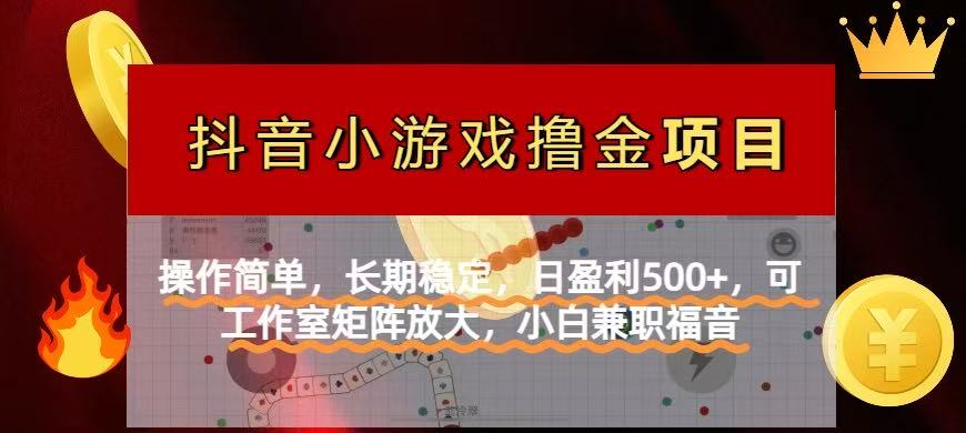 （14290期）【抖音小游戏发行人计划项目】操作简单，长期稳定，日盈利500+，可工作…|轻创终点站