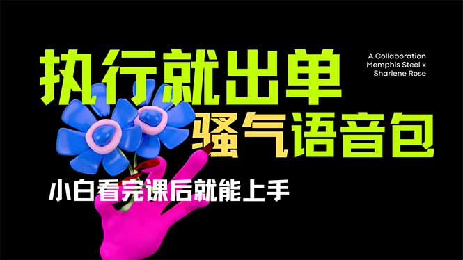 （14170期）爆火全网的开车导航骚气语音包,只要执行就出单，小白看完课程就能实操…|轻创终点站